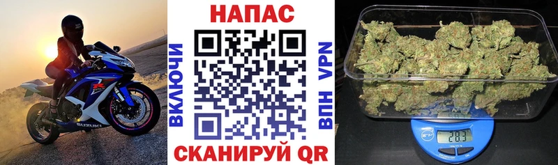 Как найти наркотики Сургут ЭКСТАЗИ  Кокаин  МЕФ  Канабис  ГАШ 
