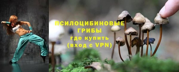 тгк Абдулино