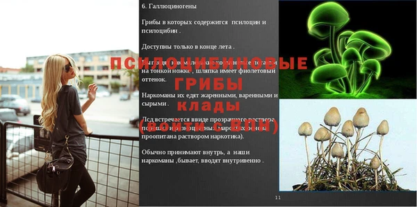 винт Алексин